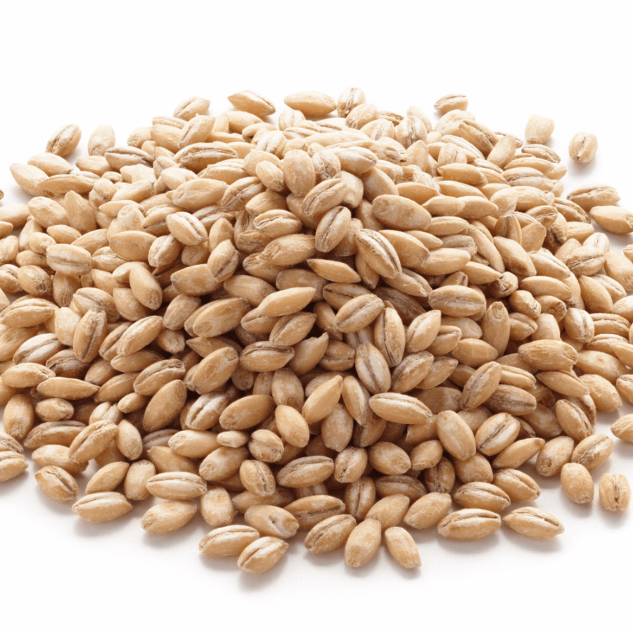 barley-supply Svg+xml,%3Csvg%20xmlns%3D'http%3A%2F%2Fwww.w3