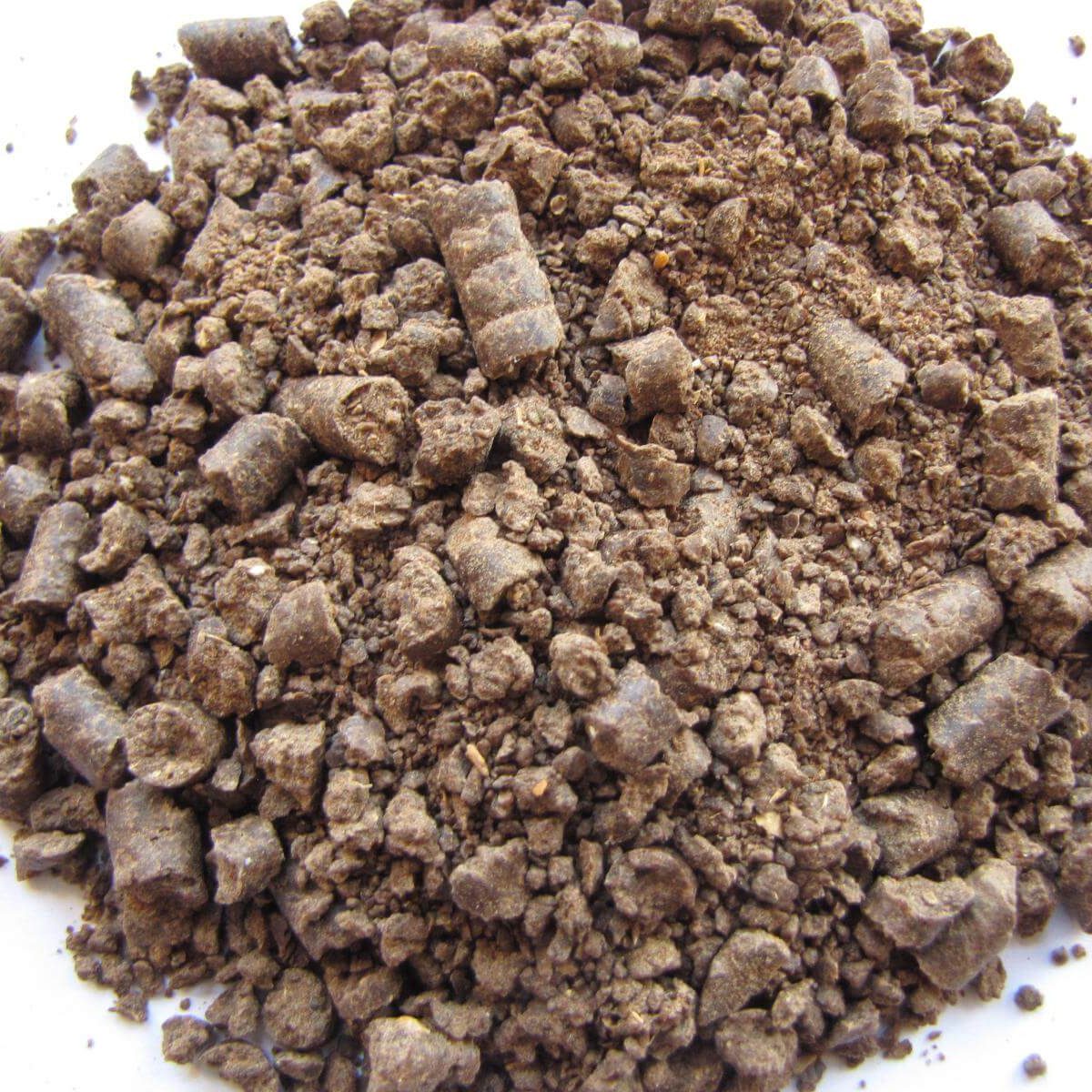 sunflower-meal Svg+xml,%3Csvg%20xmlns%3D'http%3A%2F%2Fwww.w3